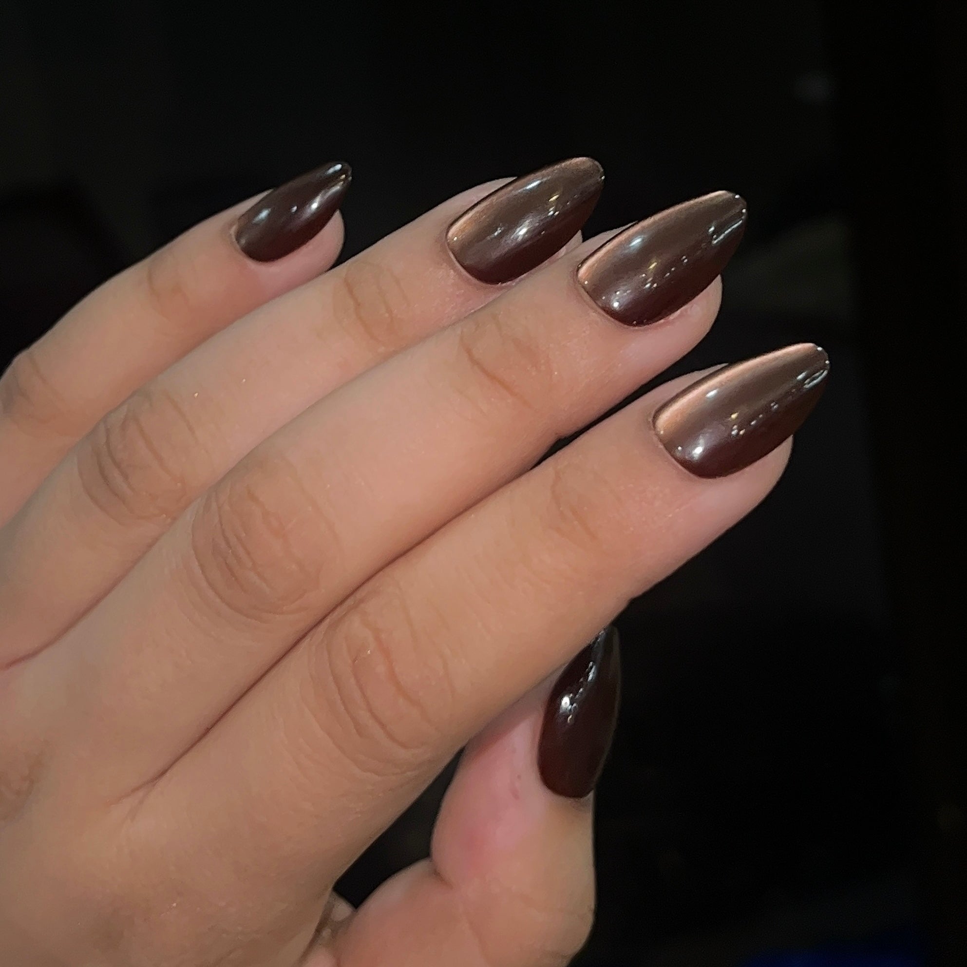 [PREMIUM] Handmade Cat-eye Reflective Nails-813- Free 24 pc Sticker Sheet  included