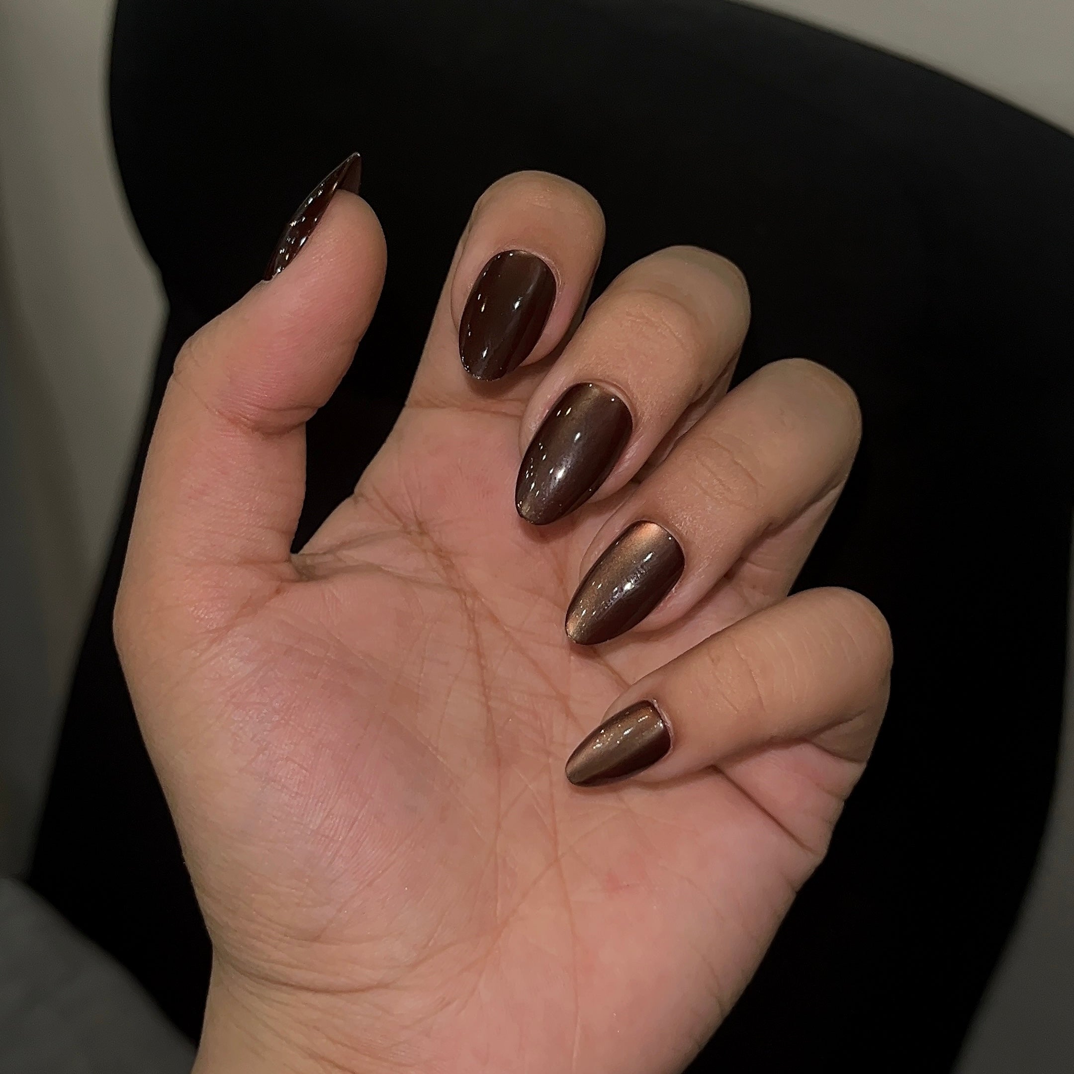 [PREMIUM] Handmade Cat-eye Reflective Nails-813- Free 24 pc Sticker Sheet  included