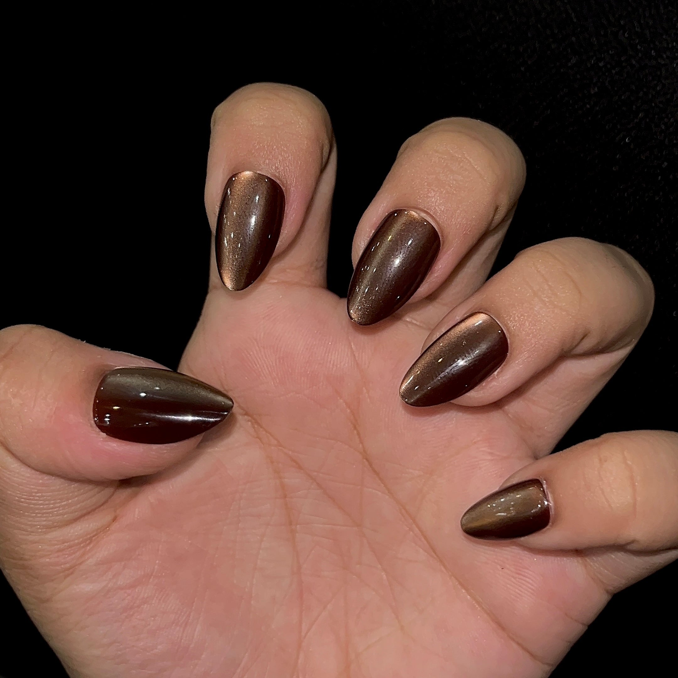 [PREMIUM] Handmade Cat-eye Reflective Nails-813- Free 24 pc Sticker Sheet  included